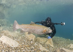 Trout spawning. Capernwray. D200, 10.5mm. by Derek Haslam 